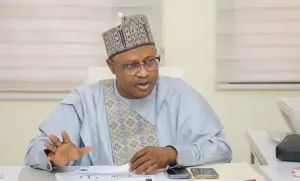 Coalition: 'No threat against Tinubu' - Gov Sani reacts as ADA emerges