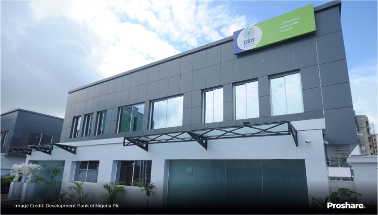 Development Bank of Nigeria disburses N1trn to MSMEs, creates 1.2m jobs – MD — Daily Nigerian