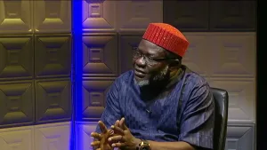 INEC: Most of 110 associations seeking to become political parties jokers, addresses found in cemeteries - Nwagu