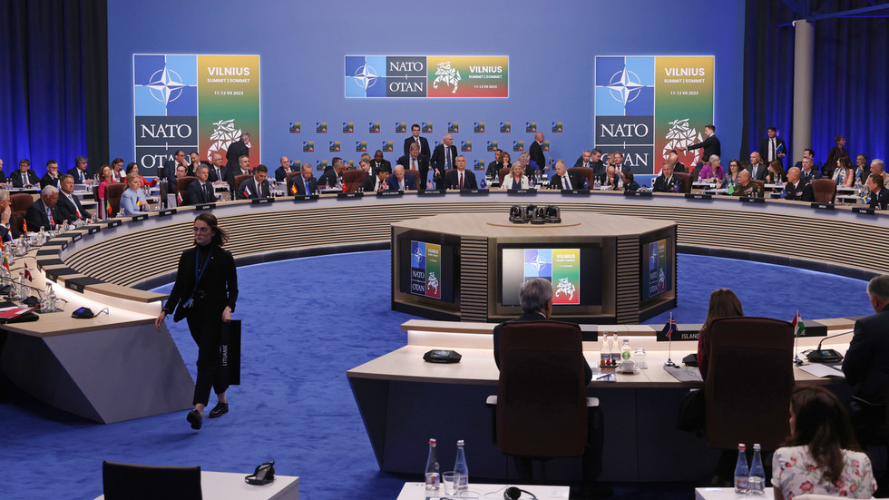 NATO summit to avoid Ukraine membership issue – AFP — RT World News