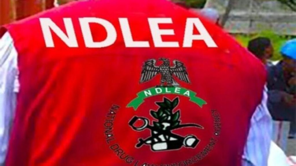 Kano: NDLEA arrests 36, recovers illicit drugs in Sallah operation