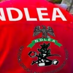 Kano: NDLEA arrests 36, recovers illicit drugs in Sallah operation