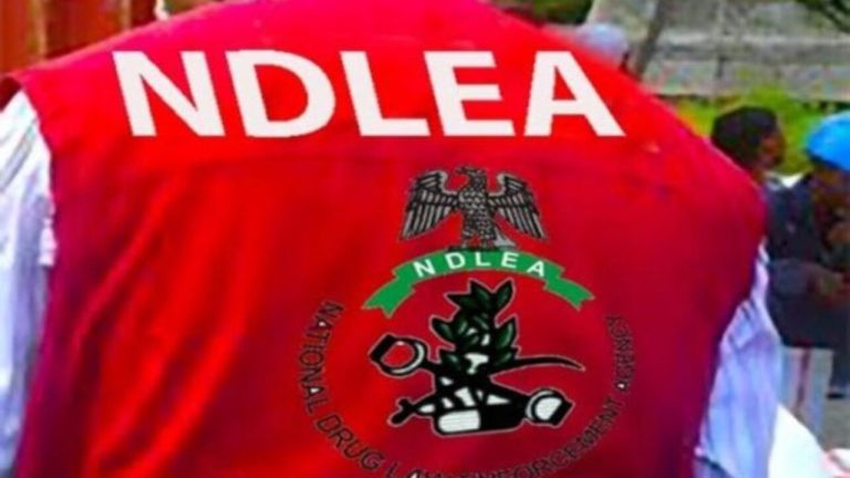 Kano: NDLEA arrests 36, recovers illicit drugs in Sallah operation