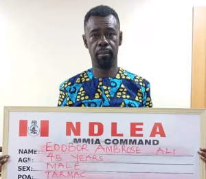 NDLEA intercepts codeine, skunk in major raids — Daily Nigerian