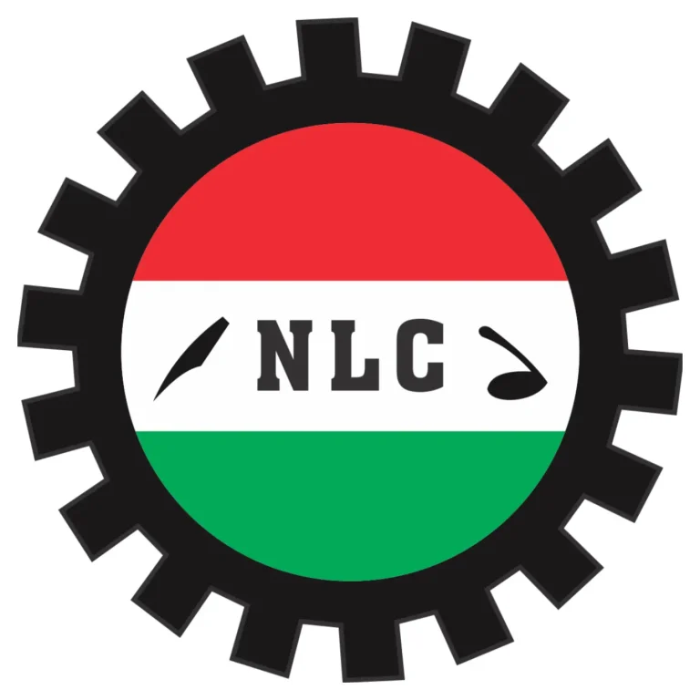 Tinubu’s two years in office: No gains, but more suffering, hardship in Nigeroa — NLC