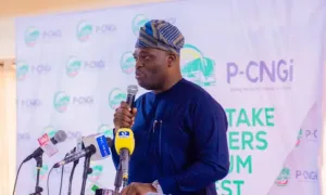 Nigeria now has 65 CNG stations for cheaper gas - PCNGI
