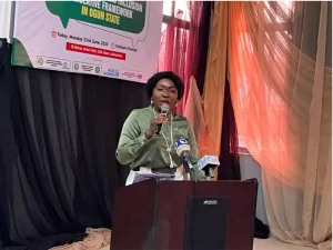 GBV, child abuse, threat to national development - Ogun commissioner