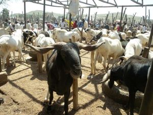 Oyo workers get ram, rice at subsidised prices — Daily Nigerian