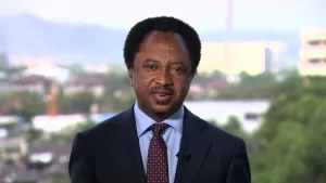 Put your houses in order, stop accusing Tinubu - Shehu Sani tells PDP, LP, others