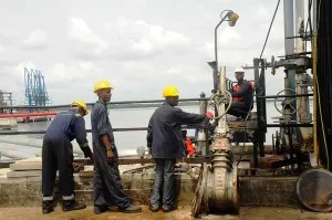 There's huge potential of non-oil export - Media group