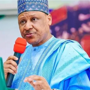 No administration has recorded Tinubu's achievements within two years - Information Minister