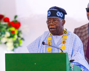 Tinubu directs security chiefs to implement earlier directive — Daily Nigerian