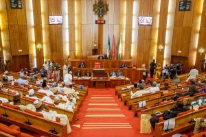 Uproar as Senate okays non-indigene as Rivers Electoral Commission Chairman
