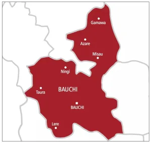 Windstorm destroys over 450 houses in Bauchi community