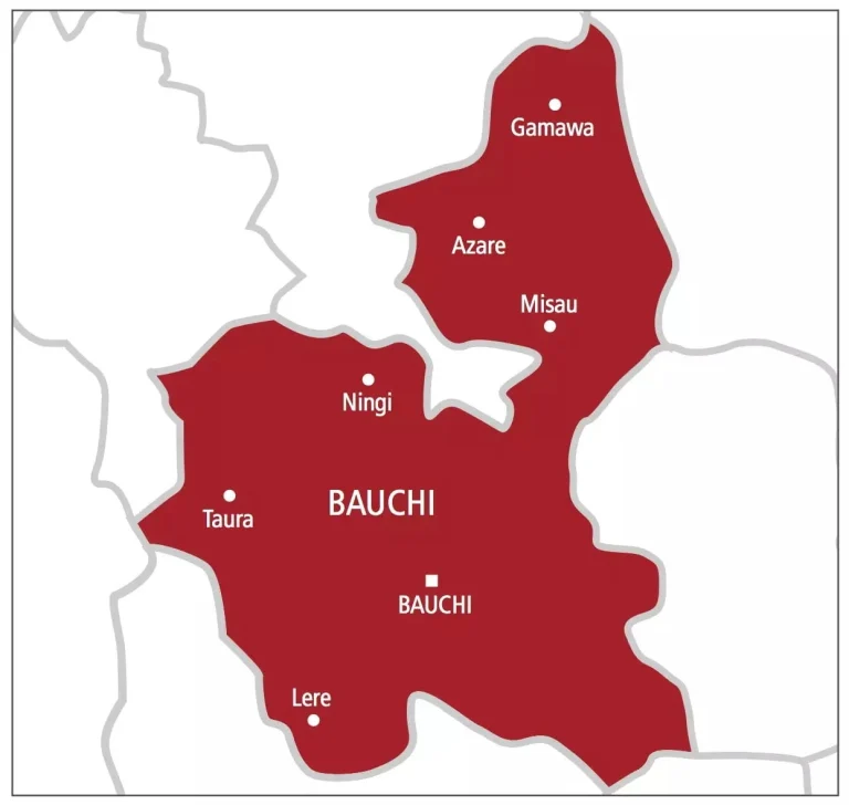 Windstorm destroys over 450 houses in Bauchi community