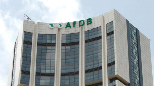 $500m disbursed for Nigerian energy transition — AfDB