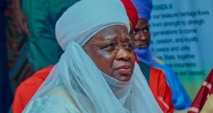North Marginalised In Budget Allocation, Infrastructure Under Tinubu, ACF Chair Alleges • Channels Television