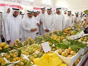 Saudi Arabia emerges leading Agric hub for mango production — Daily Nigerian