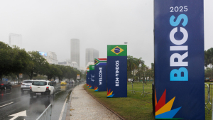 Annual BRICS summit gets underway in Brazil — RT World News