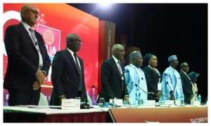 BUA Cement Plc records strong revenue growth of 90.5% to N867.5bn, pays N2.05 dividend per share