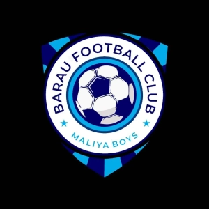 NPFL: Barau FC sign Ambrose, Okoko Jr