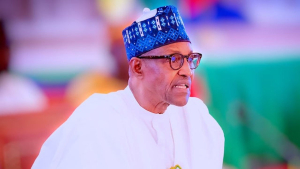 Buhari served Nigerians more than he served himself - Ex Defence Minister Magashi
