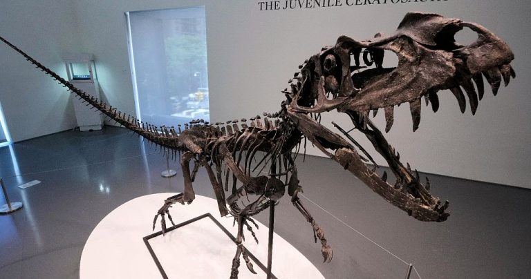 Rare dinosaur skeleton sells for $30 million at Sotheby's 'Geek Week' auction