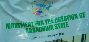 Constitution review: Group agitates for creation of Karadua State
