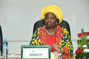'I never got N4bn monthly from NDDC' – Amaechi’s wife refutes Wike's claim