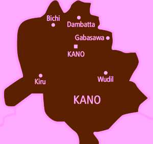 Over 1.2 million living with Hepatitis B in Kano – Health commissioner
