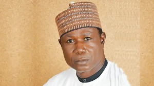 Terrorists attacking farmers, unsuspecting civilians - MBF President, Bitrus