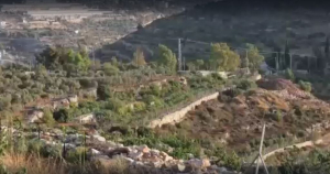 Moroccan humanitarian agency provides support for Palestinian farmers