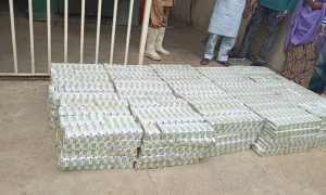 NAFDAC destroys 491, 000 seized tramadol tablets in Kano — Daily Nigerian