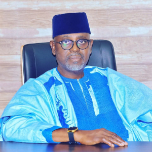 Niger commissioner's ex-wife cries out over threats, intimidation — Daily Nigerian