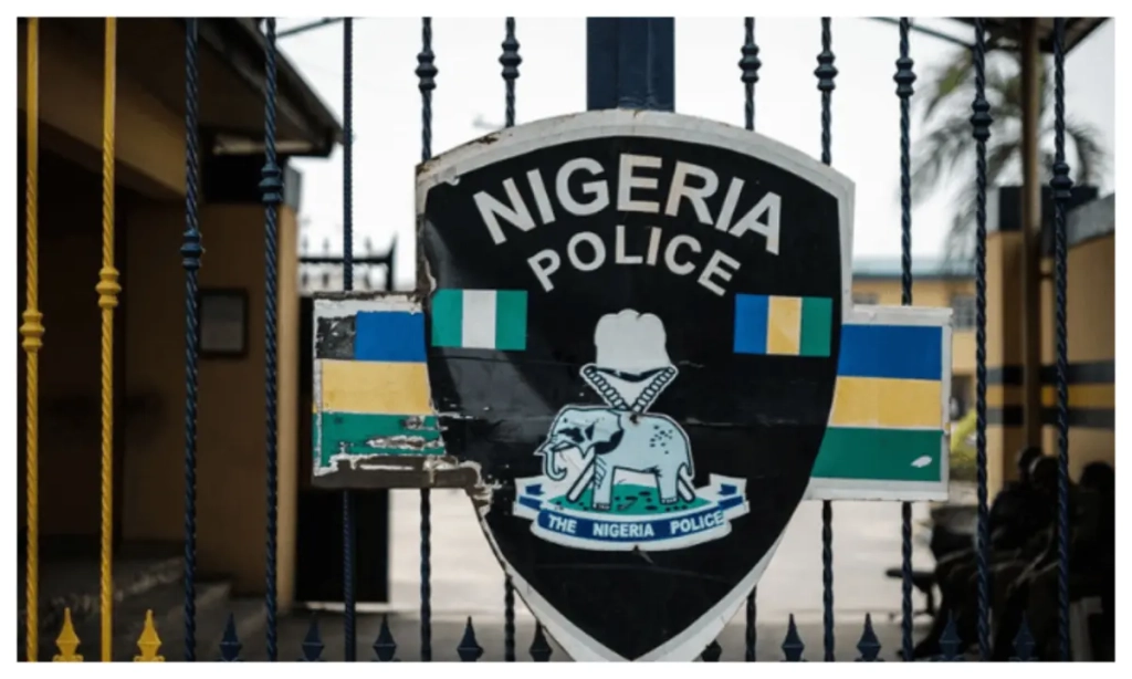 Niger: Women, children rescued from Boko Haram in protective custody - Police