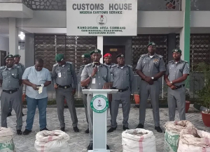 Nigerian Customs seizes 420kg Pangolin scales in Kano — Daily Nigerian