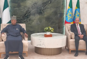 Nigeria donates 100,000 cashew seeds, 2,000 seedlings to Ethiopia — Daily Nigerian