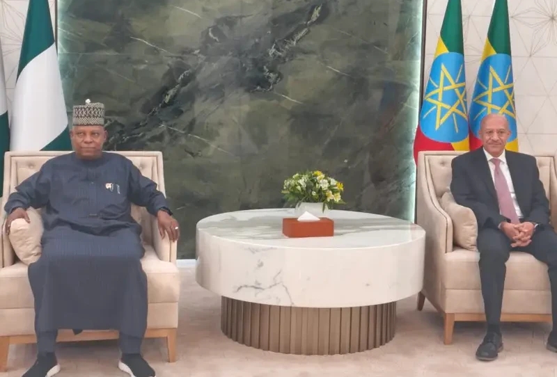 Nigeria donates 100,000 cashew seeds, 2,000 seedlings to Ethiopia — Daily Nigerian