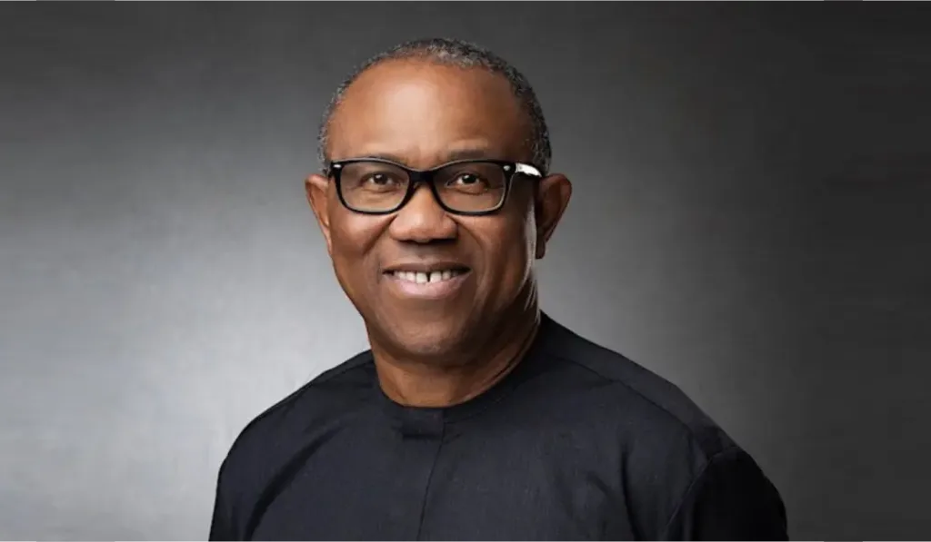 2027: Peter Obi's support in Northern Nigeria overwhelming - Obidients