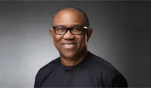 2027: Peter Obi's support in Northern Nigeria overwhelming - Obidients