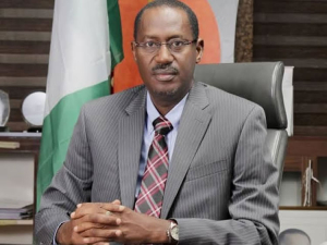 Nigerian govt to launch ‘state-by-state’ home ownership initiative -- Dangiwa — Daily Nigerian