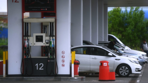 Russia bans all gasoline exports — RT Business News