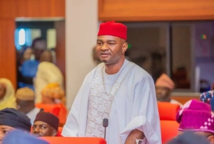 Senator Nwebonyi faults calls to discard entire 1999 constitution