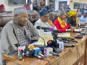 2027: Elections rigging could plunge Nigeria into crisis - Baba-Ahmed
