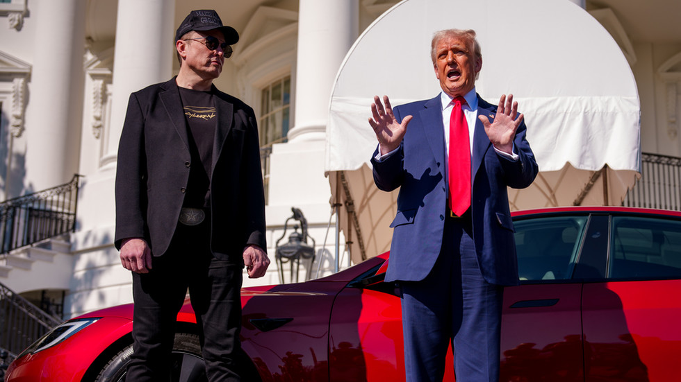 Trump says DOGE should investigate Musk — RT World News