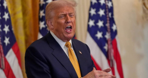 What’s in the Epstein files? Trump’s alleged involvement fuels political storm