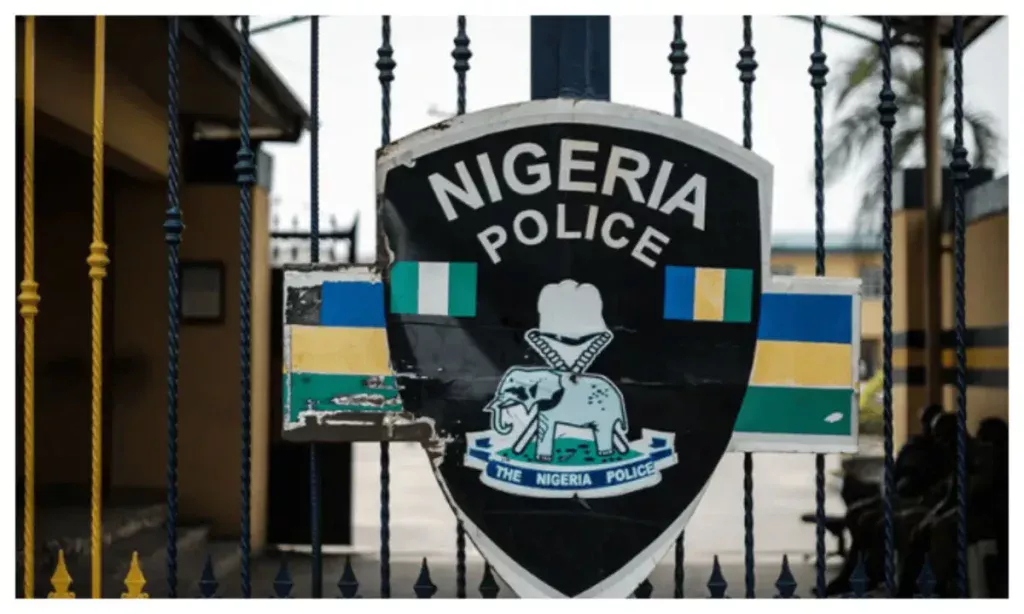 Niger: Women, children rescued from Boko Haram in protective custody - Police