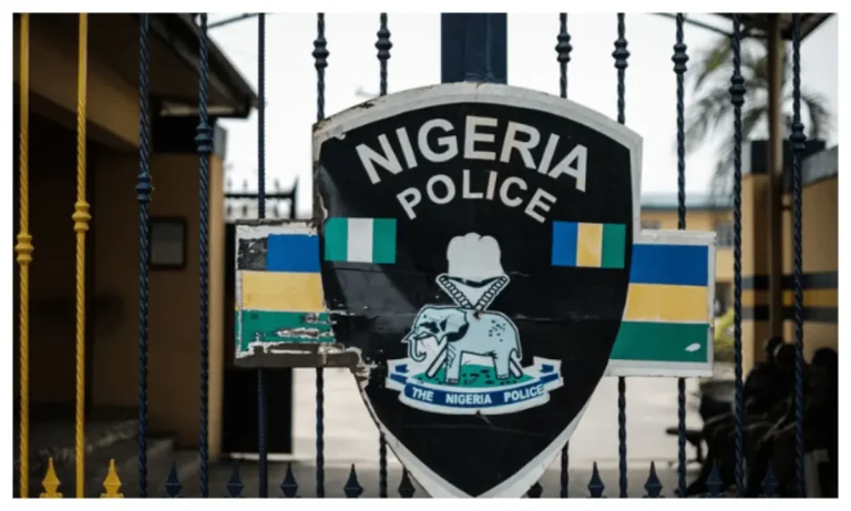Niger: Women, children rescued from Boko Haram in protective custody - Police