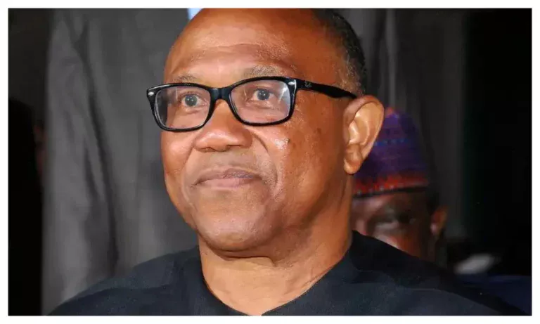 2027: Peter Obi may lose opportunity to be our candidate - Labour Party Secretary