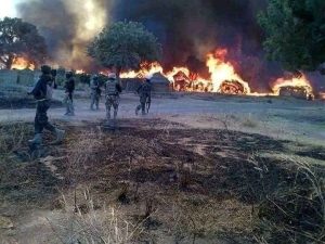 62 kidnapped victims escape Katsina bandits’ den – Official — Daily Nigerian
